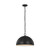 manufacturer_finish:Aged Iron|manufacturer_glass:Aged Iron