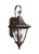 Visual Comfort Studio - OL13101PTBZ - Two Light Outdoor Wall Lantern - Oakmont - Patina Bronze