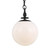 Capri One Light Pendant (TP1031AI)