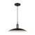 manufacturer_finish:Aged Iron|manufacturer_glass:Aged Iron