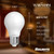Warm Dim Light Bulb (776400)