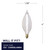 Spunlite Light Bulb (430025)