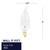 Flame Light Bulb (493025)