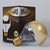2 Light Bulb (712424)