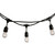 String String Light (810002)