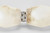 Collier LED Chandelier (SLCH55527ALBNS)