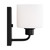 manufacturer_finish:Midnight Black|light_source:Unspecified|light_output:800.00lm|color_temperature:3000K|cri:90