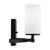 manufacturer_finish:Midnight Black|light_source:Unspecified|light_output:800.00lm|color_temperature:3000K|cri:90