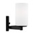 manufacturer_finish:Midnight Black|light_source:Unspecified|light_output:800.00lm|color_temperature:3000K|cri:90