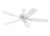 manufacturer_finish:Matte White/Matte White/Matte White|blade_span:52``|voltage:120.00V
