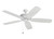 manufacturer_finish:Matte White/Matte White/Matte White|blade_span:60``|voltage:120.00V