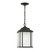 manufacturer_finish:Oxford Bronze|light_source:LED|light_output:800.00lm|color_temperature:3000K|cri:90