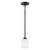 manufacturer_finish:Midnight Black|light_output:Unspecified|color_temperature:Unspecified|cri:Unspecified