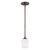 manufacturer_finish:Bronze|light_output:Unspecified|color_temperature:Unspecified|cri:Unspecified