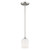 manufacturer_finish:Brushed Nickel|light_output:Unspecified|color_temperature:Unspecified|cri:Unspecified