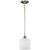 manufacturer_finish:Brushed Nickel|light_source:LED|light_output:800.00lm|color_temperature:3000K|cri:90