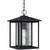 manufacturer_finish:Black
