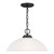 manufacturer_finish:Midnight Black|light_source:LED|light_output:800.00lm|color_temperature:3000K|cri:90