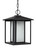 manufacturer_finish:Black|manufacturer_glass:Etched Seeded|light_source:LED|light_output:800.00lm|color_temperature:3000K|cri:90
