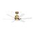 manufacturer_finish:Burnished Brass/Matte White ABS/Matte White ABS