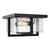 Generation Lighting - 7541502-112 - Two Light Flush Mount - Mitte - Midnight Black
