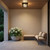 manufacturer_finish:Black
