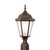 manufacturer_finish:Antique Bronze|light_source:Unspecified|light_output:Unspecified|color_temperature:Unspecified|cri:Unspecified