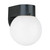 manufacturer_finish:Black|manufacturer_glass:Smooth White|light_source:LED|light_output:800.00lm|color_temperature:3000K|cri:90