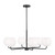 manufacturer_finish:Midnight Black|light_output:800.00lm|color_temperature:3000K|cri:90