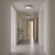 manufacturer_finish:Brushed Nickel