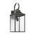 manufacturer_finish:Antique Bronze|manufacturer_glass:Smooth White|light_output:800.00lm|color_temperature:3000K|cri:90