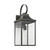manufacturer_finish:Antique Bronze|manufacturer_glass:Smooth White|light_output:800.00lm|color_temperature:3000K|cri:90