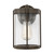 manufacturer_finish:Antique Bronze|manufacturer_glass:Clear|color_temperature:Unspecified|cri:Unspecified