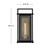 Langston LED Wall Mount (24024BK)