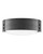 manufacturer_finish:Black|light_output:Unspecified|color_temperature:Unspecified|cri:Unspecified