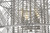 manufacturer_finish:Light Ashwood