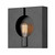 manufacturer_finish:Brushed Graphite|manufacturer_glass:Unspecified