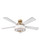 manufacturer_finish:Heritage Brass/Matte White/Birch