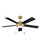 manufacturer_finish:Heritage Brass/Matte Black/Matte White