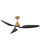manufacturer_finish:Heritage Brass/Matte Black