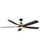 manufacturer_finish:Heritage Brass/Matte Black