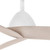 manufacturer_finish:Matte White/Bleached Ashwood