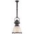 manufacturer_finish:Bronze|manufacturer_glass:9.5 x 14 White Glass