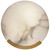 manufacturer_finish:Antique-Burnished Brass