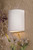 One Light Wall Sconce (564-1)