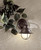 Wyndmere One Light Wall Mount (71166-91)