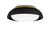 manufacturer_finish:Sand Coal w/Honey Gold|light_output:1504.80lm|cri:94