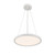 Pendant LED Pendant (725)