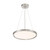 Pendant LED Pendant (725)