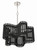Freeform Five Light Chandelier (58425-PLNBWN)